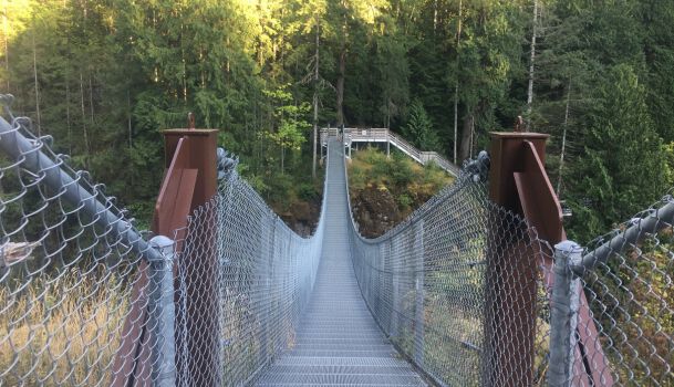 Elk Falls Suspension Brigde